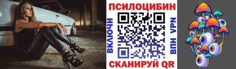 Галлюциногенные грибы мицелий  Серафимович 
